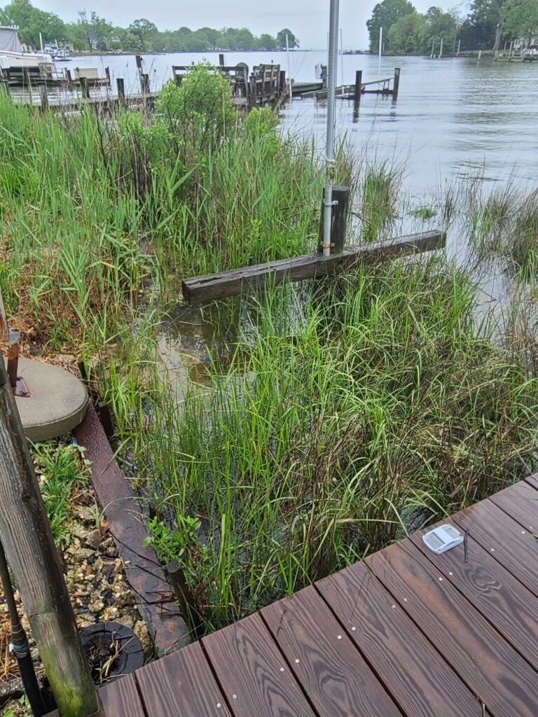 a wooden dock over a body of water (MyCoast AI)