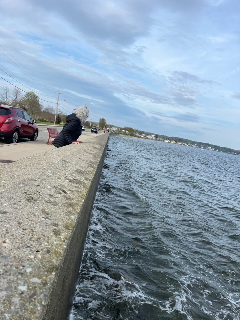 a person sitting on a ledge next to a body of water (MyCoast AI)
