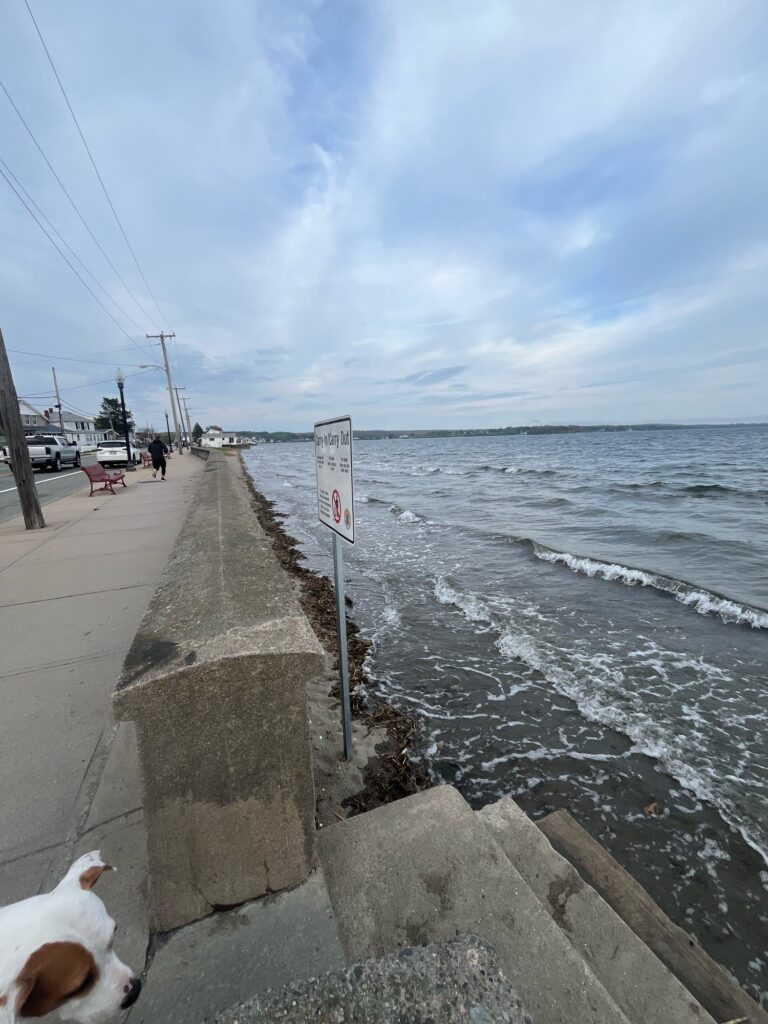 a sidewalk next to a body of water (MyCoast AI)