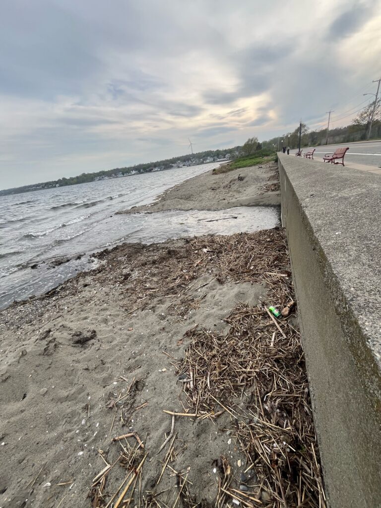 a road next to a beach (MyCoast AI)