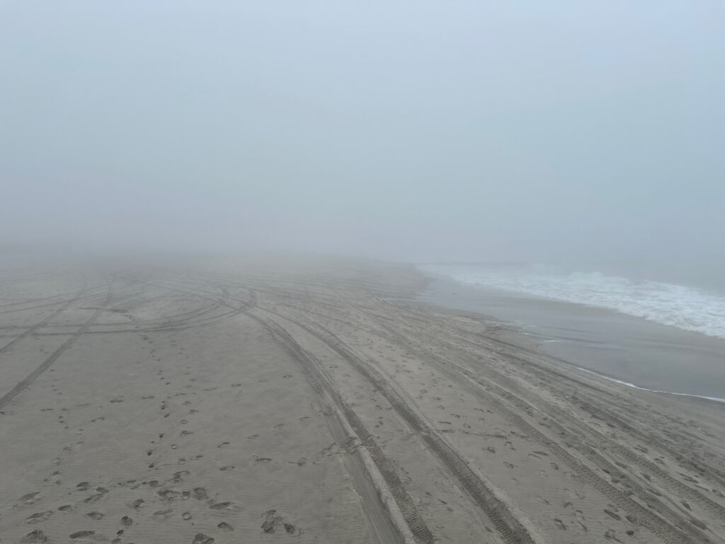 a sandy beach with waves crashing (MyCoast AI)