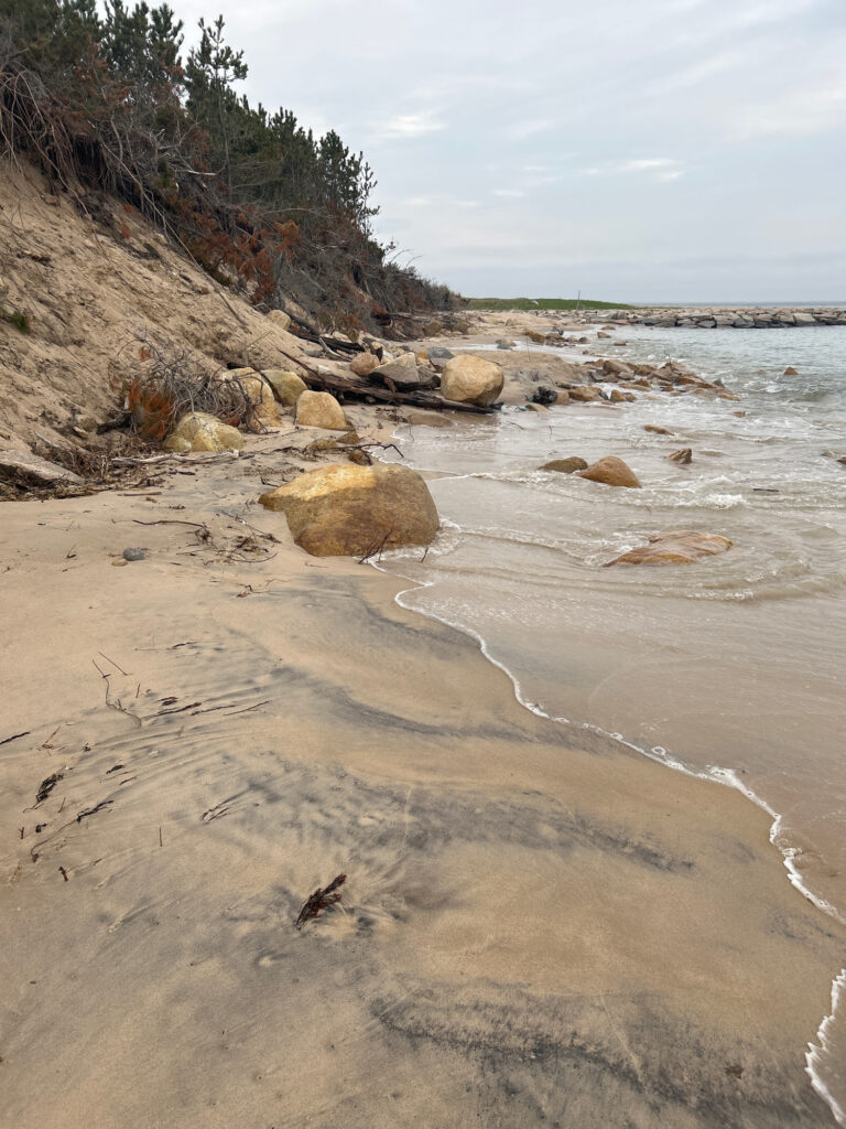 a beach with rocks and trees (MyCoast AI)