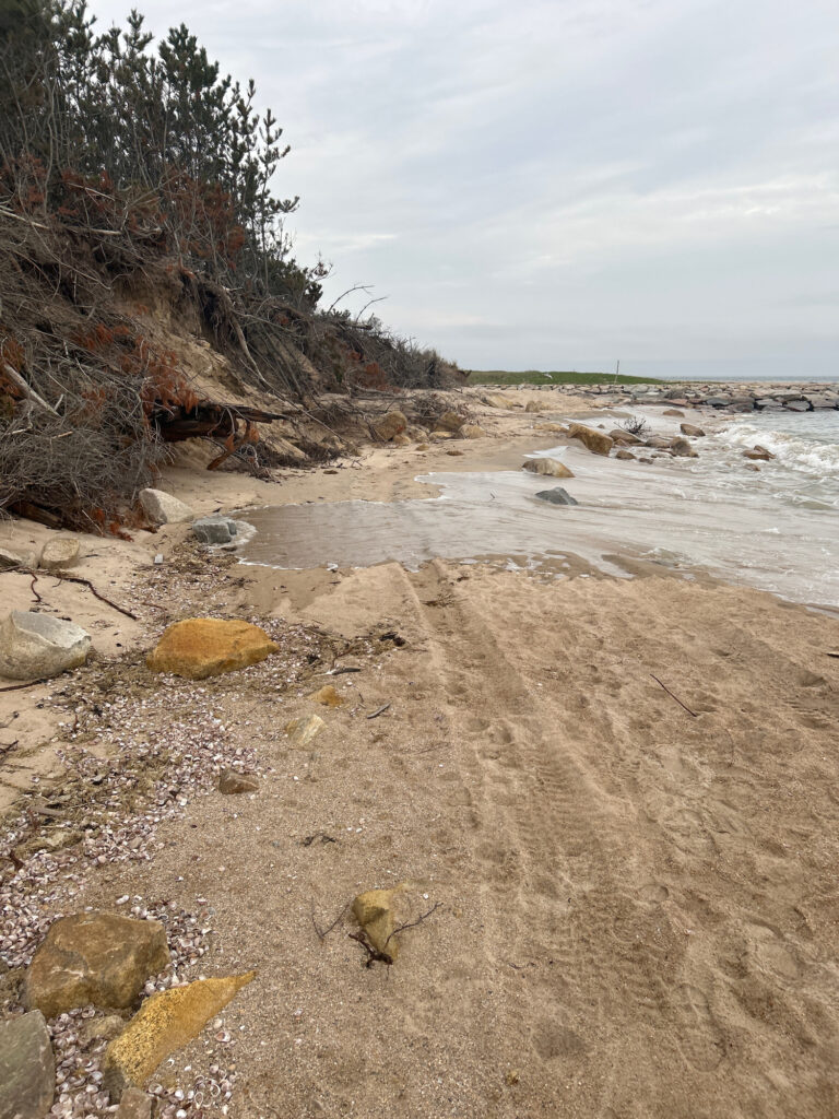 a rocky beach with a body of water and trees (MyCoast AI)