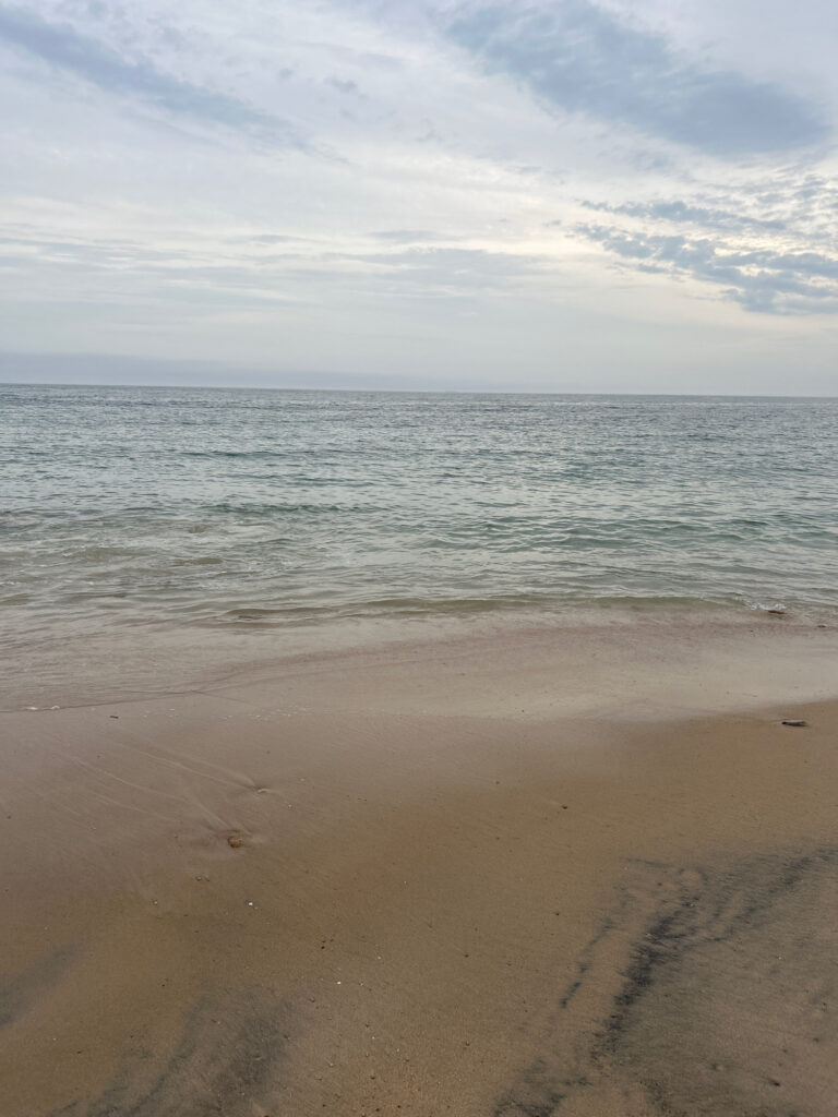a beach with waves and a cloudy sky (MyCoast AI)
