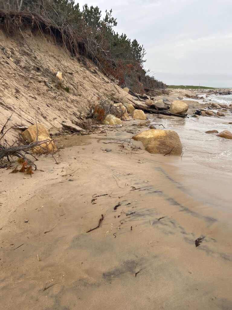 a sandy beach with rocks and trees (MyCoast AI)