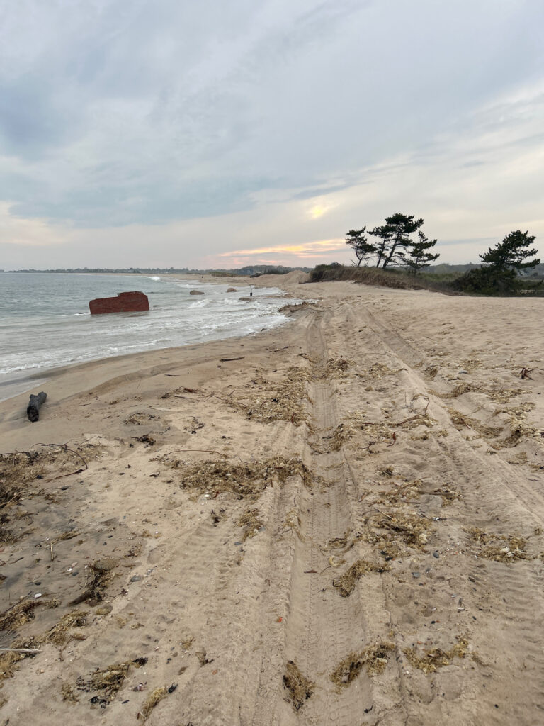 a sandy beach with a rock in the water (MyCoast AI)