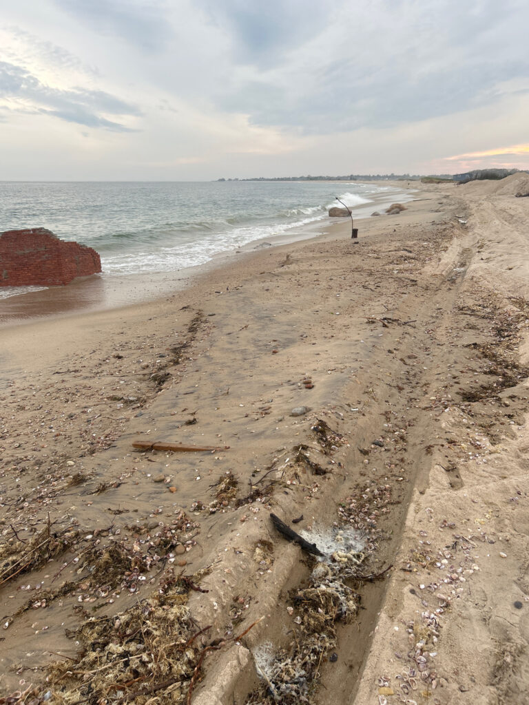 a sandy beach with a person walking on it (MyCoast AI)