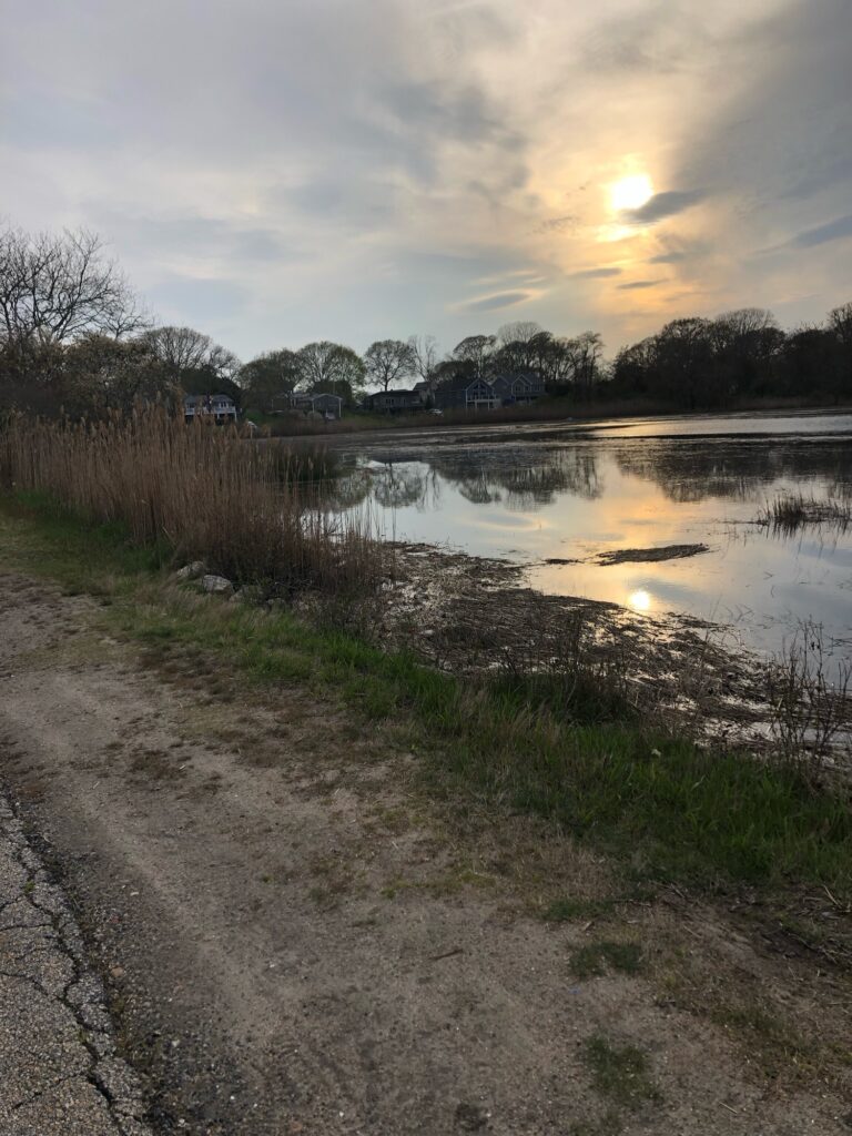 a river with a path and grass (MyCoast AI)