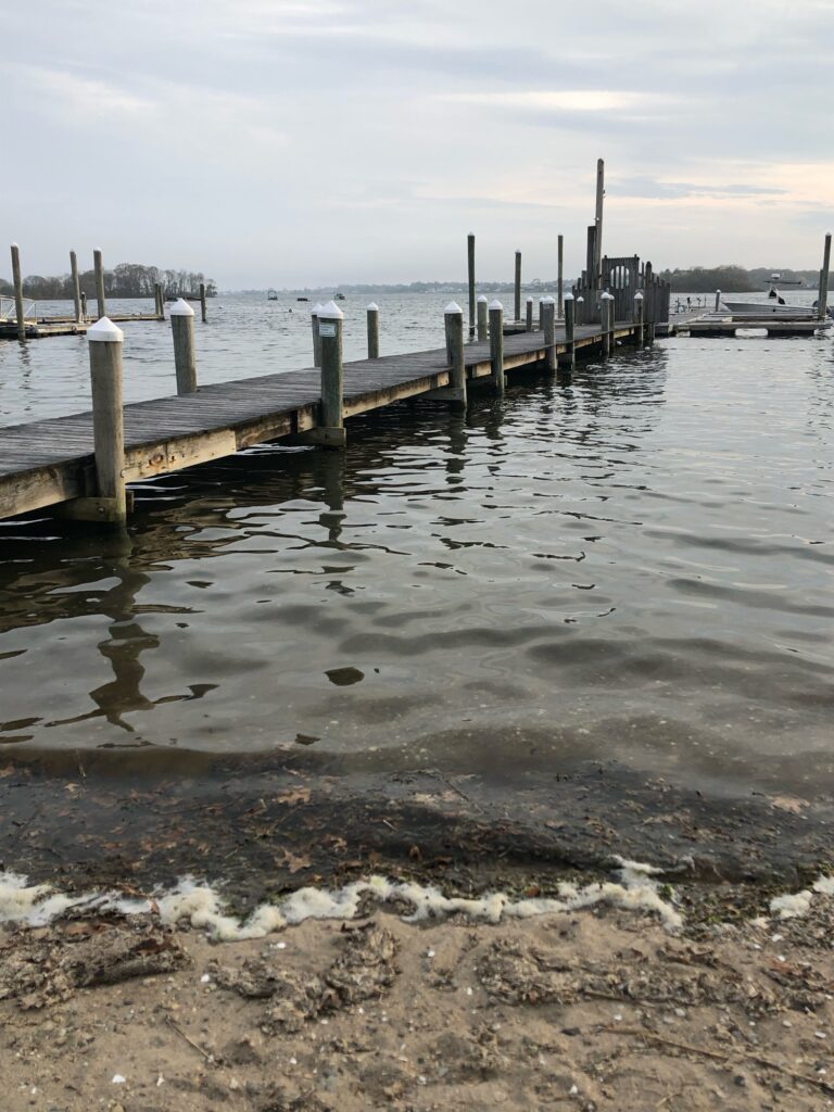 a dock in the water (MyCoast AI)