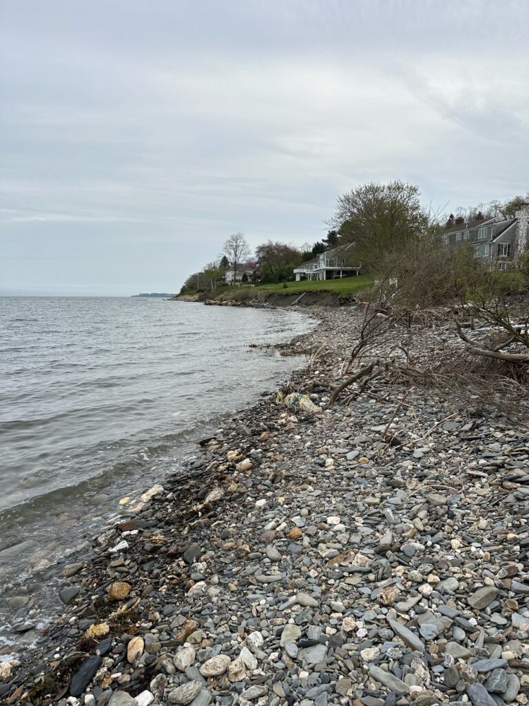a rocky beach with a body of water and houses in the background (MyCoast AI)