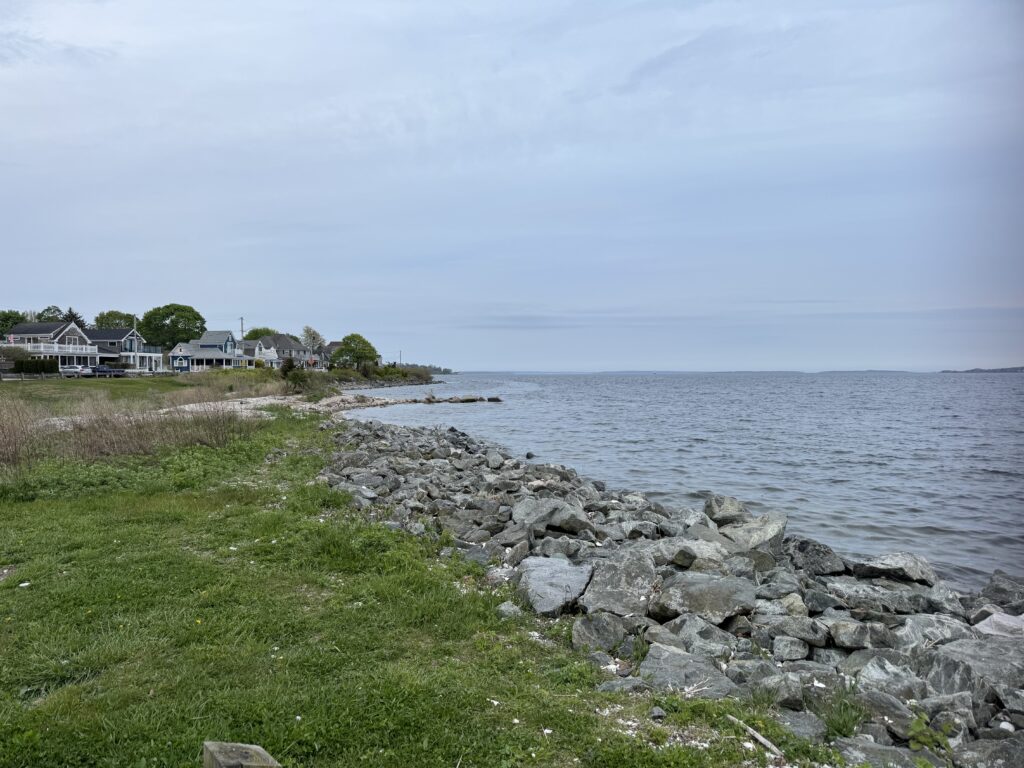 a rocky beach with houses and trees (MyCoast AI)
