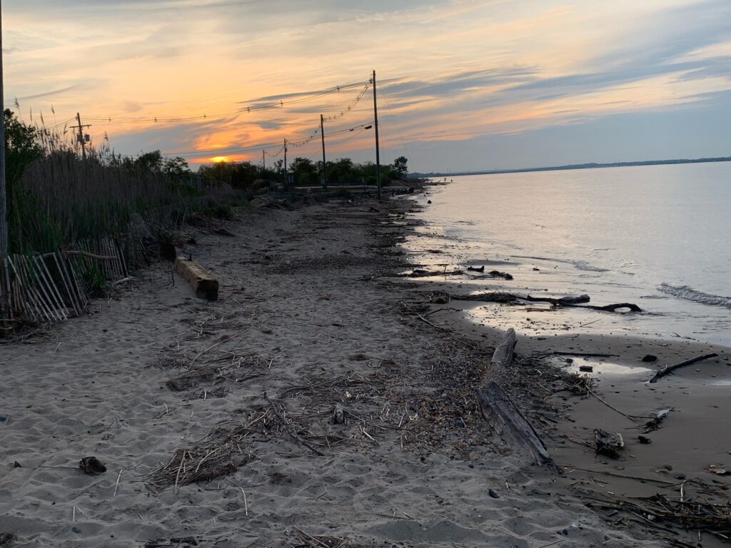 a sandy beach with a fence and trees on the side (MyCoast AI)