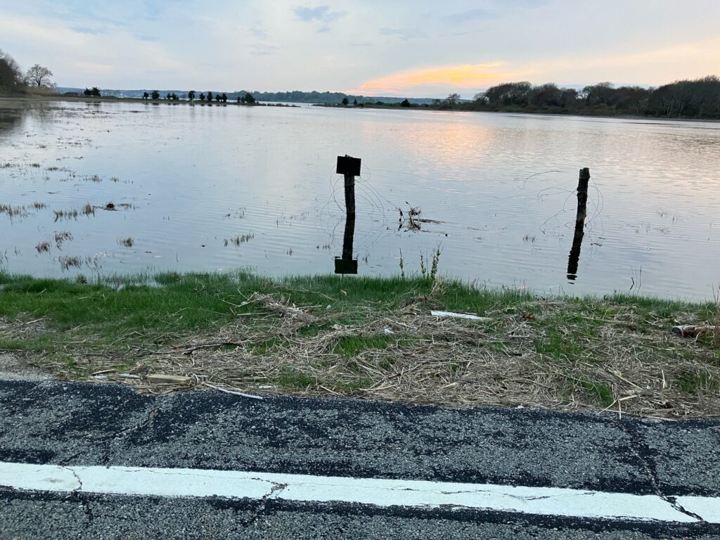 a body of water with grass and a pole in it (MyCoast AI)