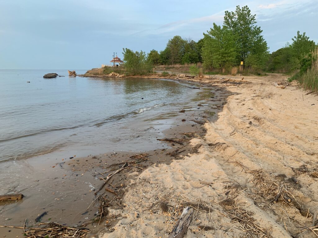 a sandy beach with trees and a body of water (MyCoast AI)