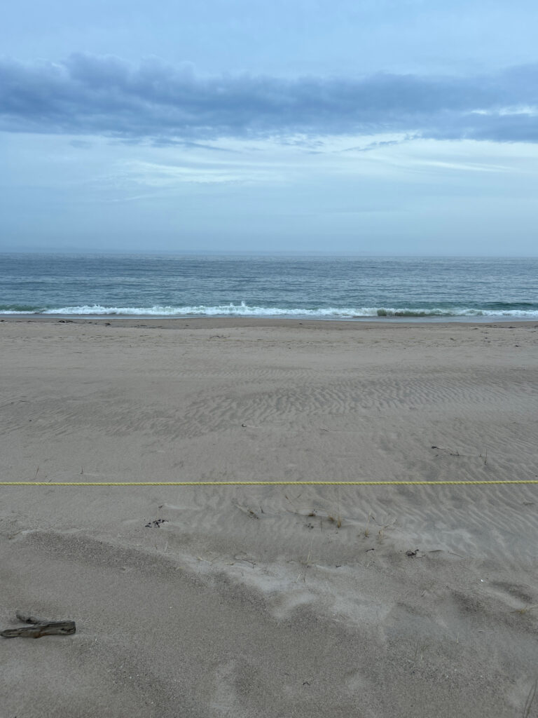 a sandy beach with waves crashing (MyCoast AI)