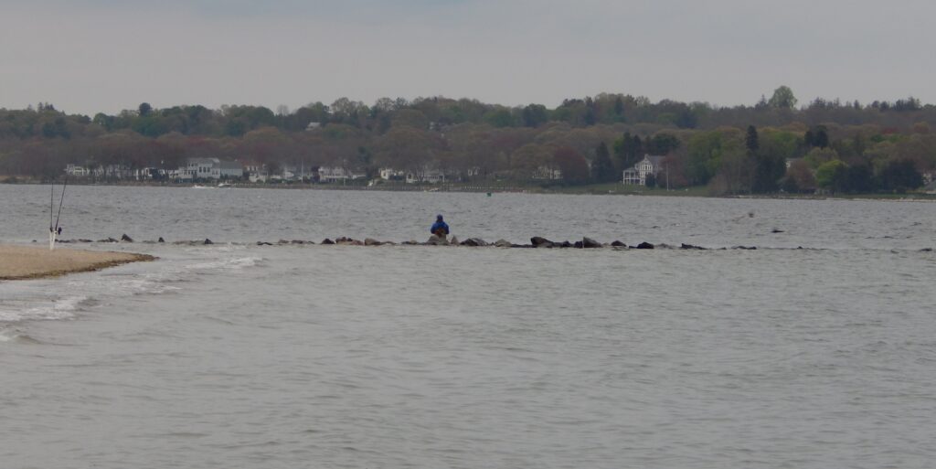 a person sitting on a rock in the middle of a body of water (MyCoast AI)