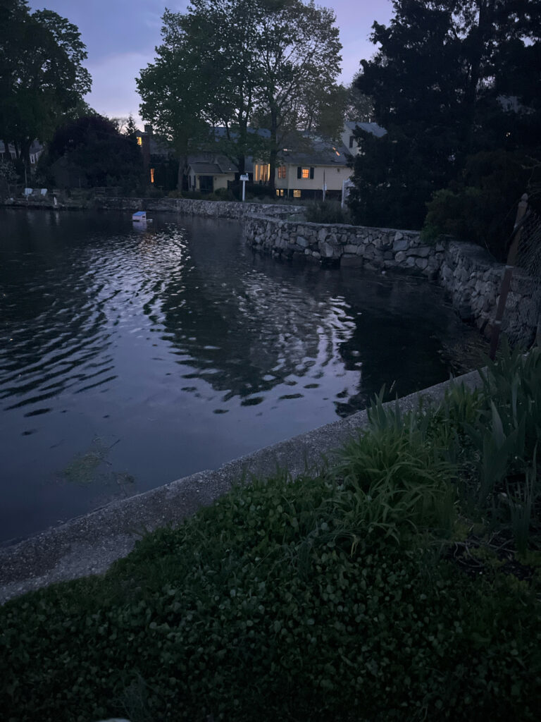 a body of water with a house in the background (MyCoast AI)