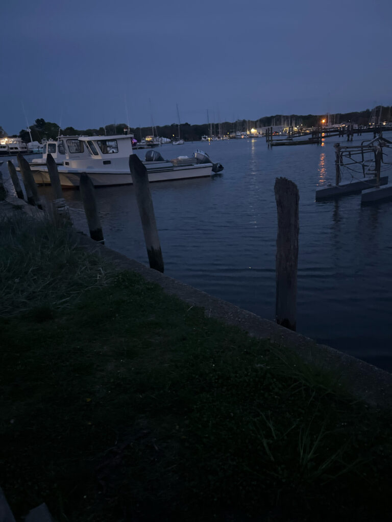 boats in the water (MyCoast AI)