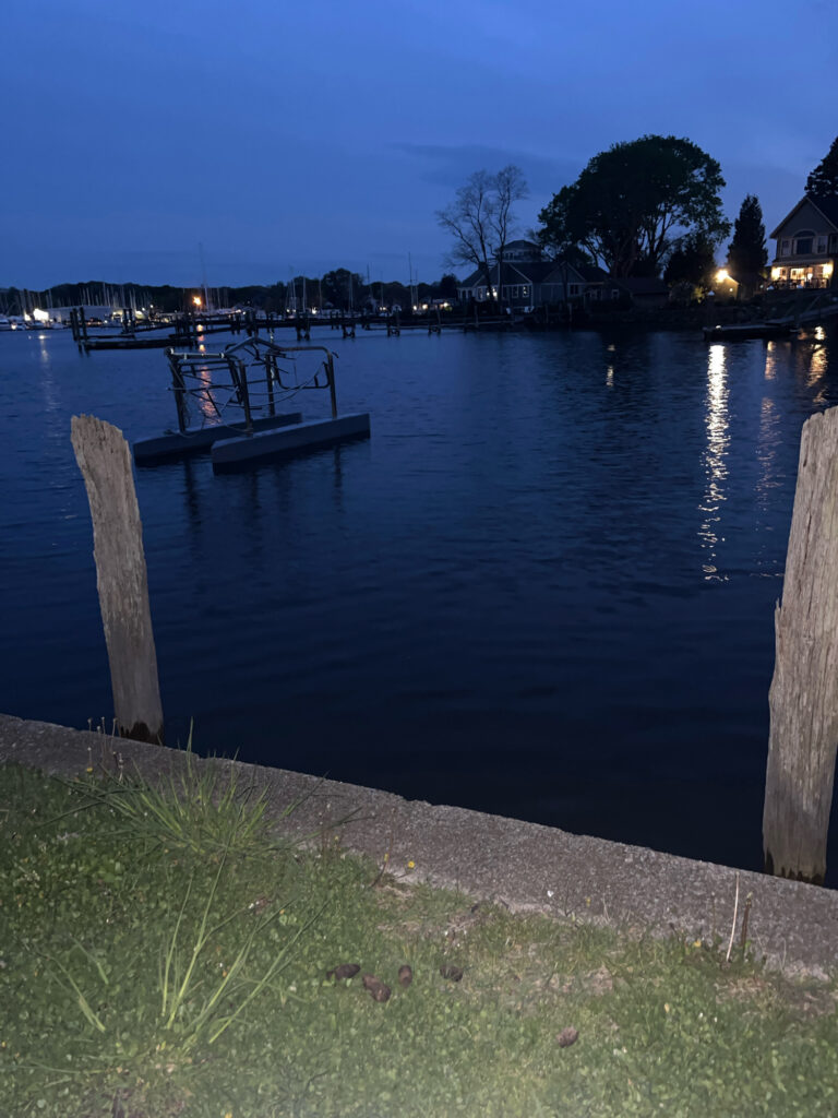 a dock in a lake (MyCoast AI)