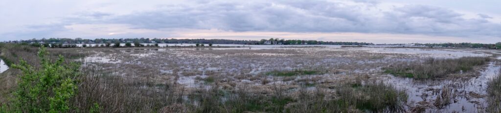 a field of brown grass (MyCoast AI)