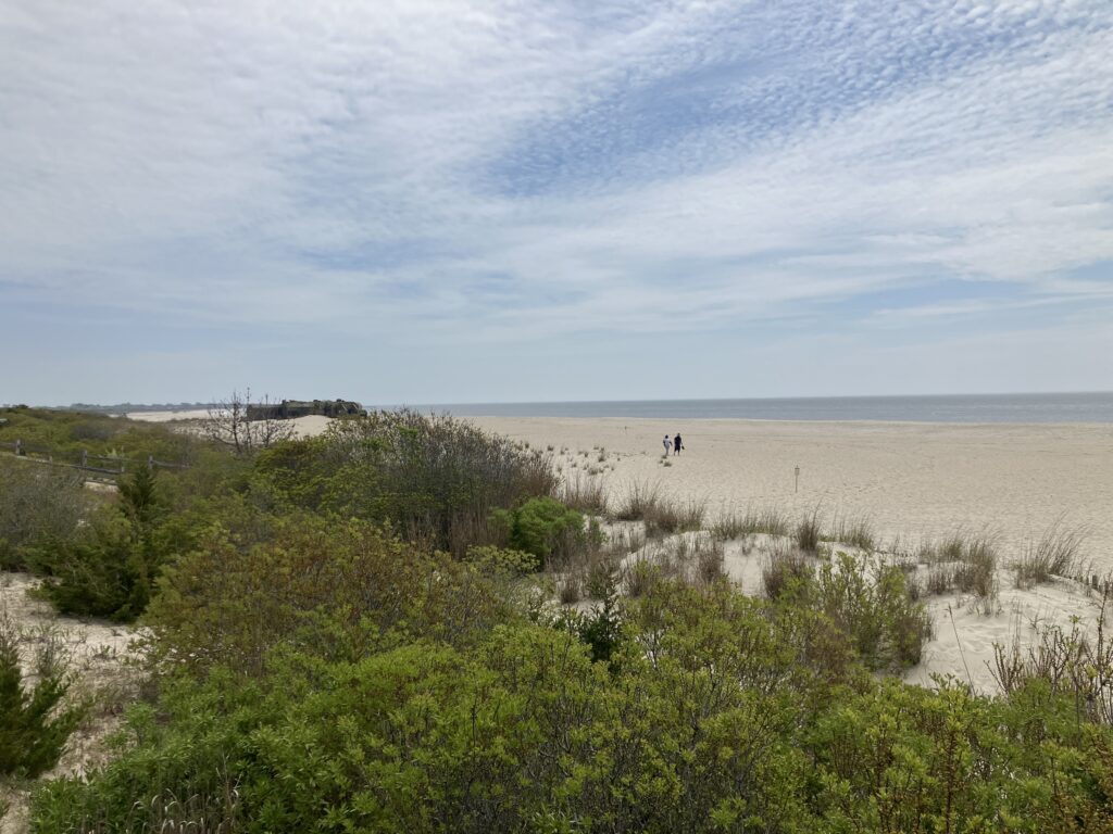 a person walking on a beach (MyCoast AI)
