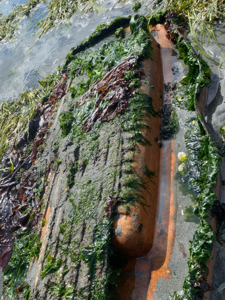 a large stone structure with a hole in it (MyCoast AI)