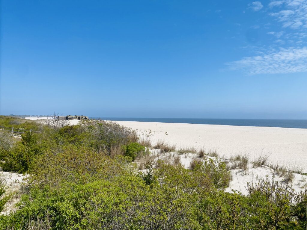 a sandy beach with bushes and trees (MyCoast AI)