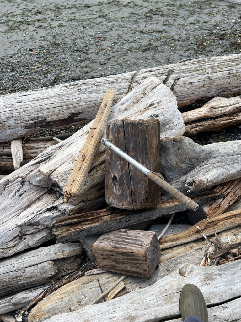 a pile of wood (MyCoast AI)
