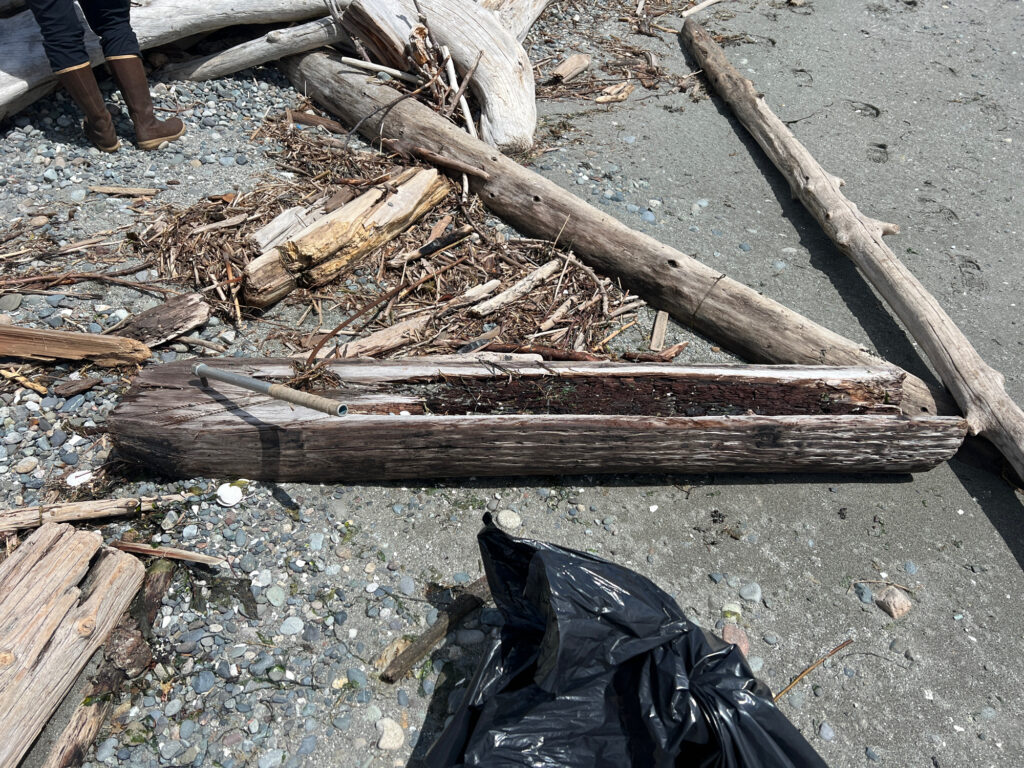 a pile of wood and a black bag on the ground (MyCoast AI)