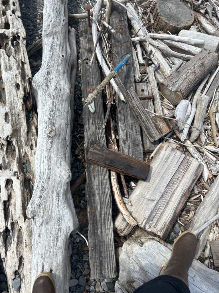a pile of wood (MyCoast AI)