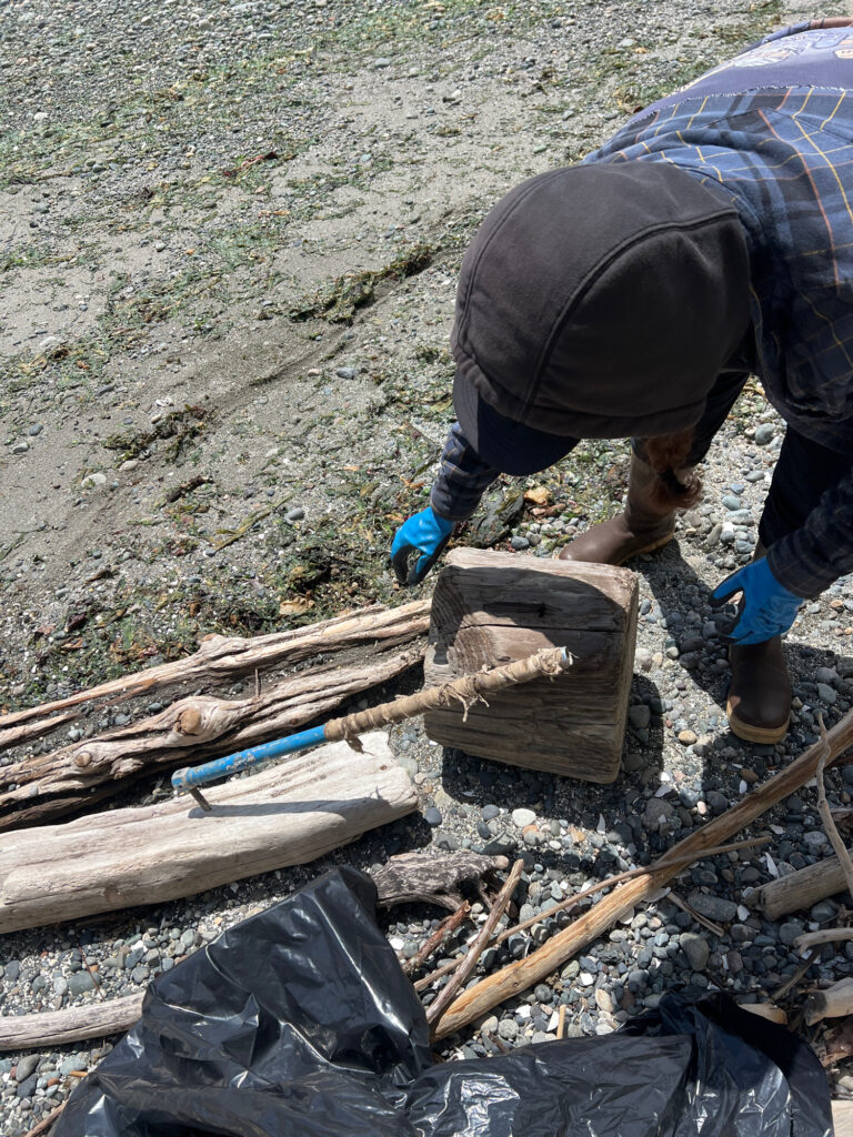 a person digging in the dirt (MyCoast AI)