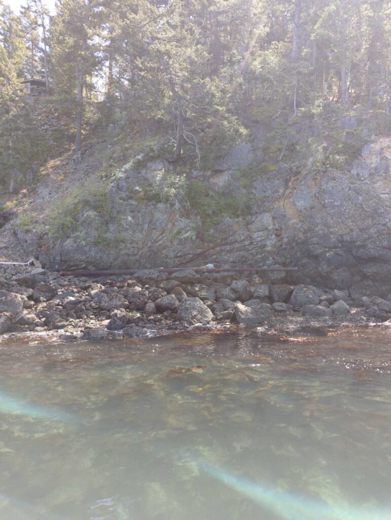 a rocky river with trees on the side (MyCoast AI)