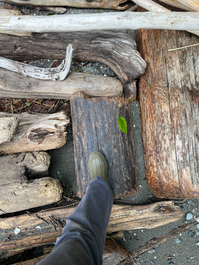 a person's foot on a wooden fence (MyCoast AI)