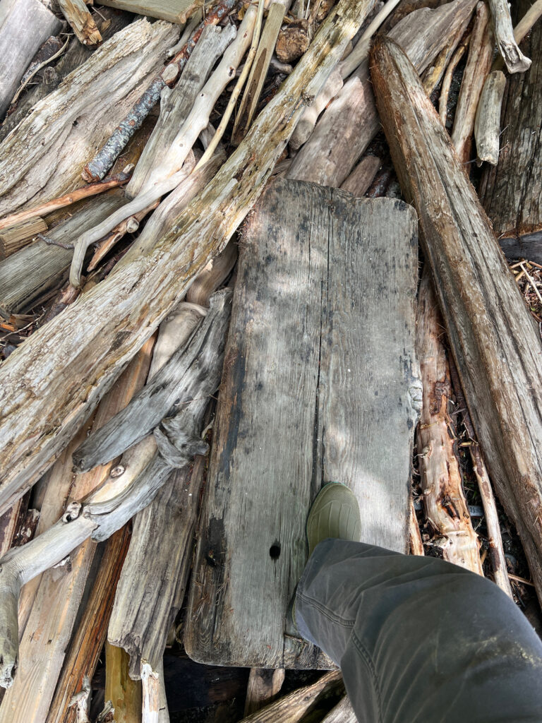 a person's foot on a pile of wood (MyCoast AI)