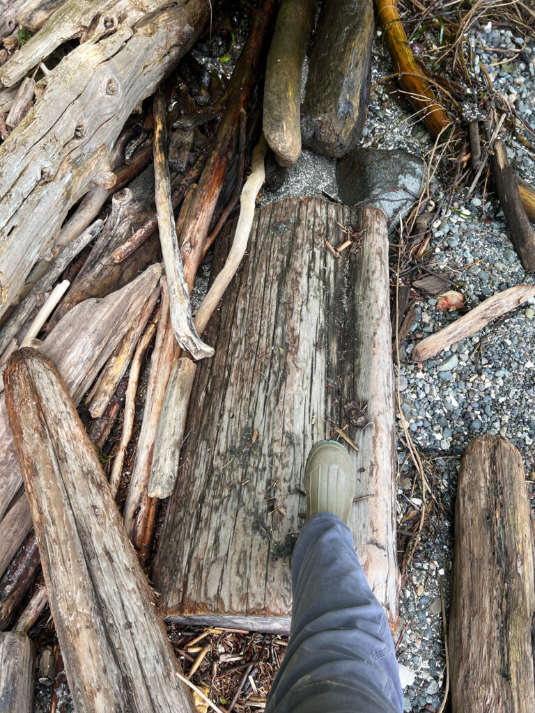 a person's foot on a tree stump (MyCoast AI)