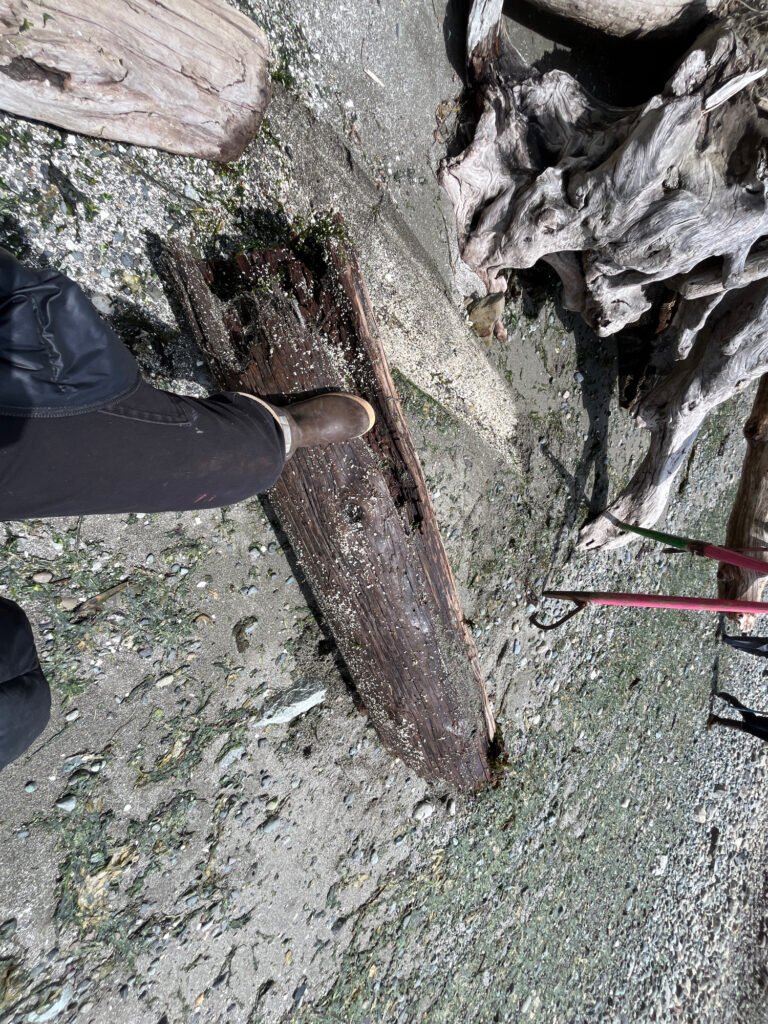 a person standing next to a log (MyCoast AI)
