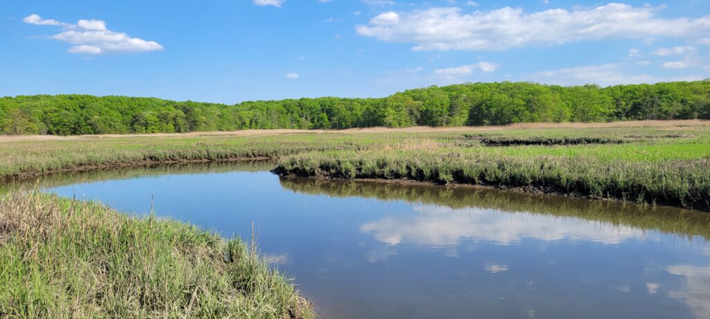 a body of water with grass and trees around it (MyCoast AI)