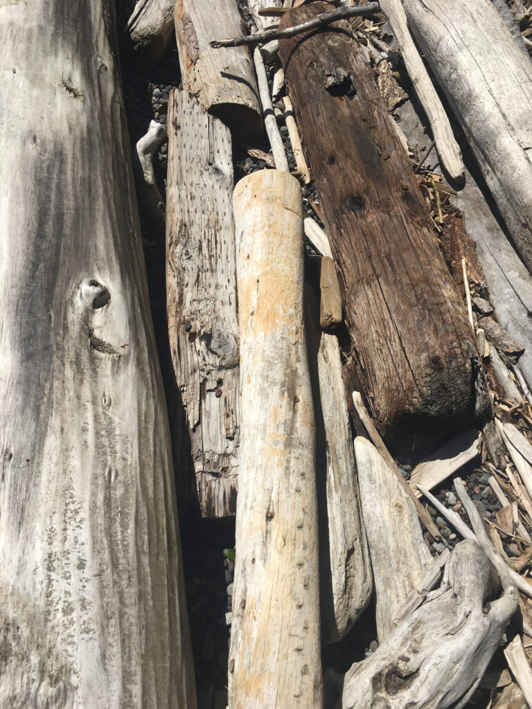 a group of logs (MyCoast AI)