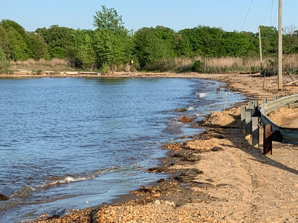 a body of water with a dock and trees in the background (MyCoast AI)