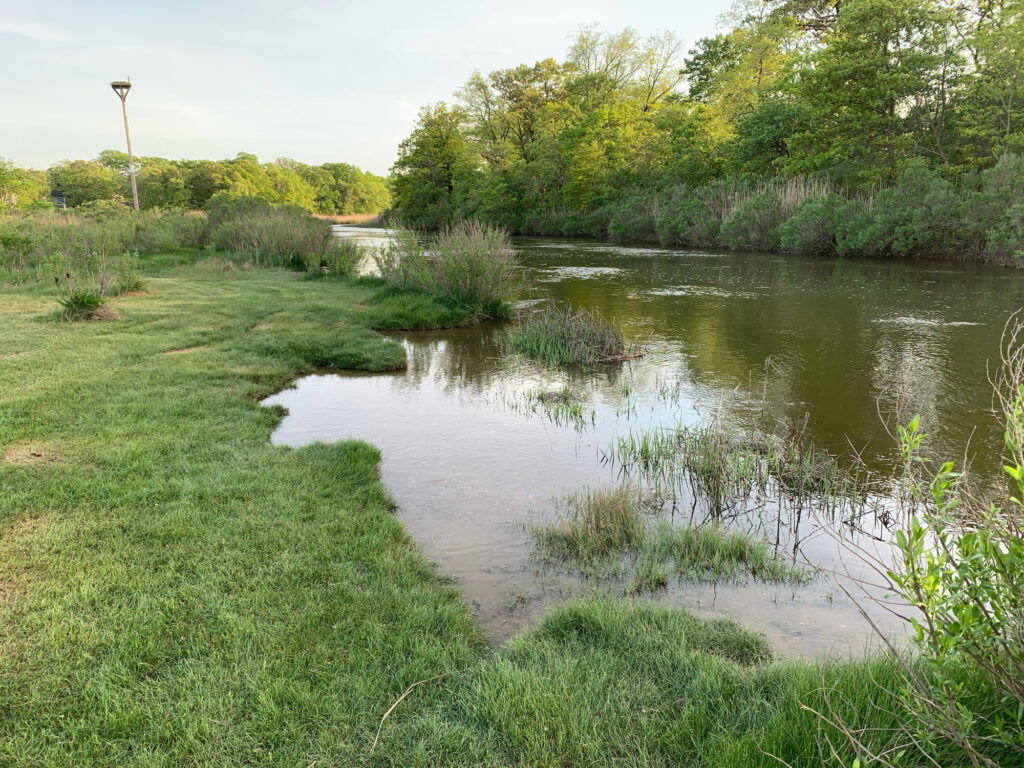 a small pond surrounded by grass and trees (MyCoast AI)