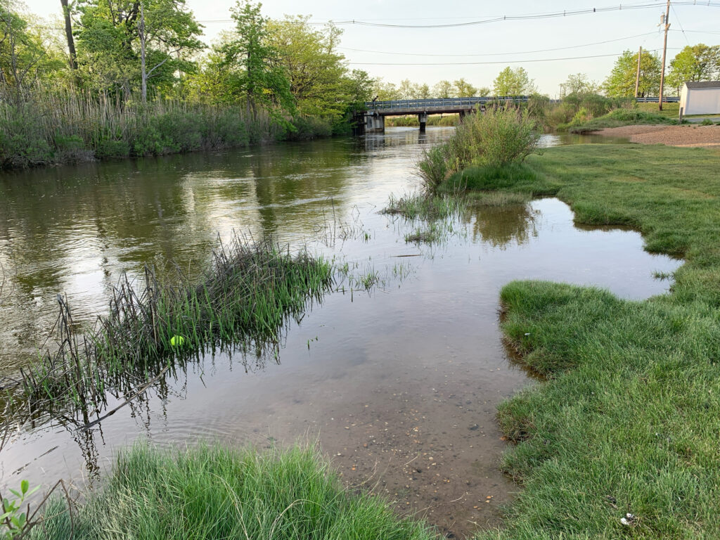 a flooded area with a bridge (MyCoast AI)