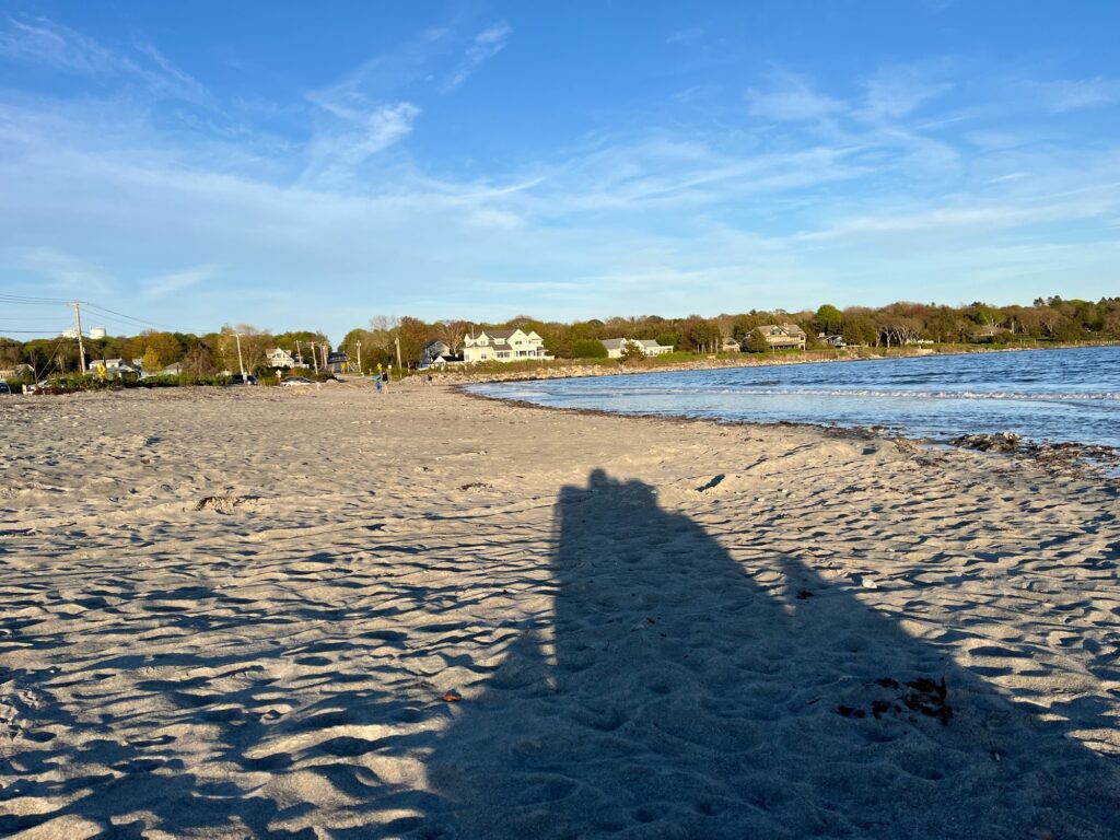 a sandy beach with houses in the background (MyCoast AI)