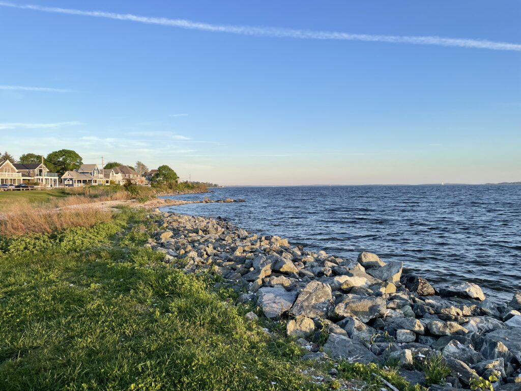 a rocky shore with houses and trees (MyCoast AI)
