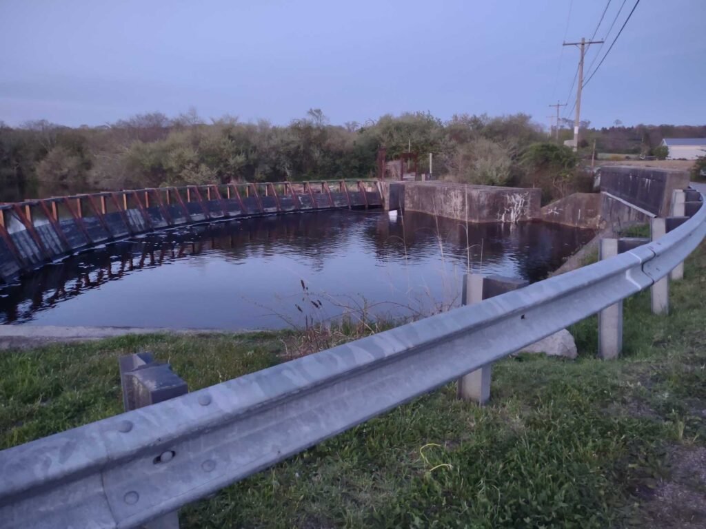 a bridge over a river (MyCoast AI)