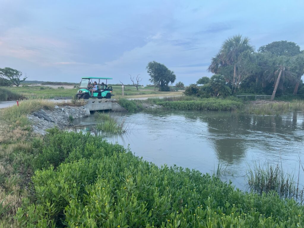 a boat on a river (MyCoast AI)