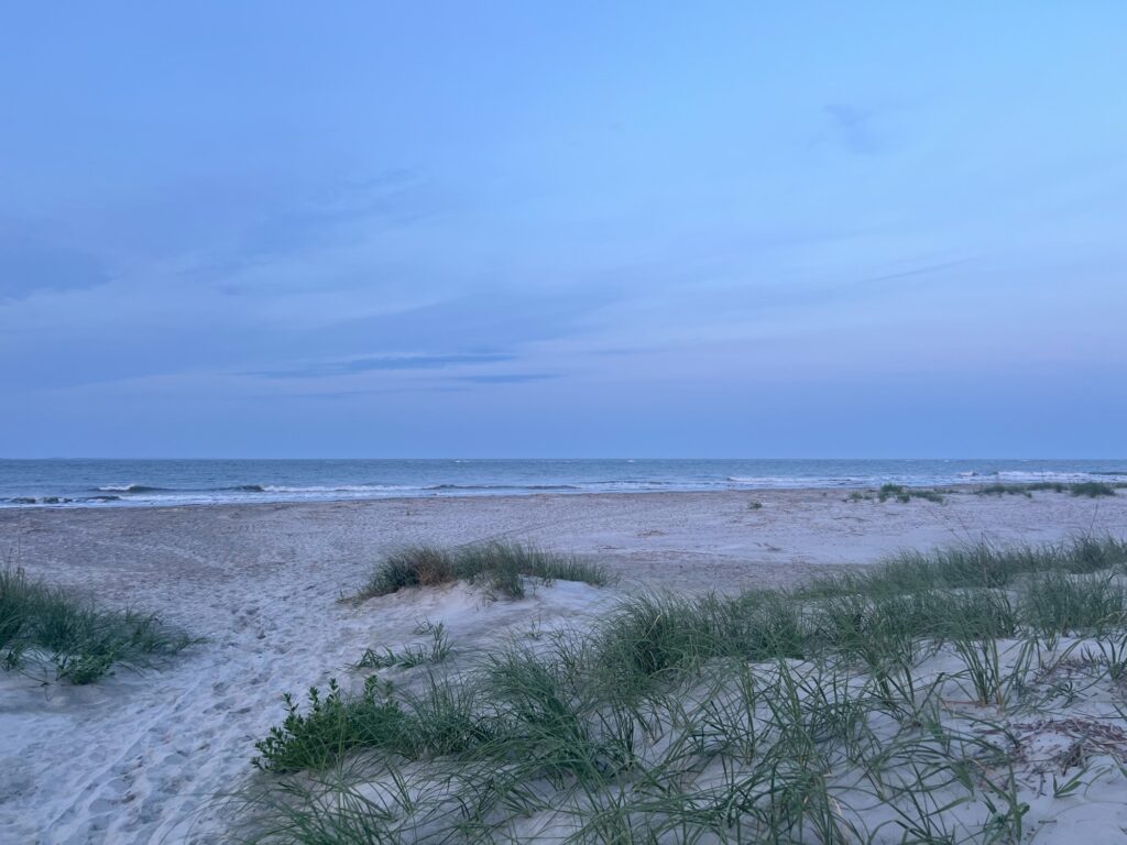 a sandy beach with plants and water in the background (MyCoast AI)