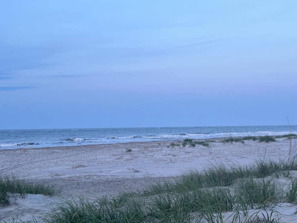 a beach with waves crashing (MyCoast AI)