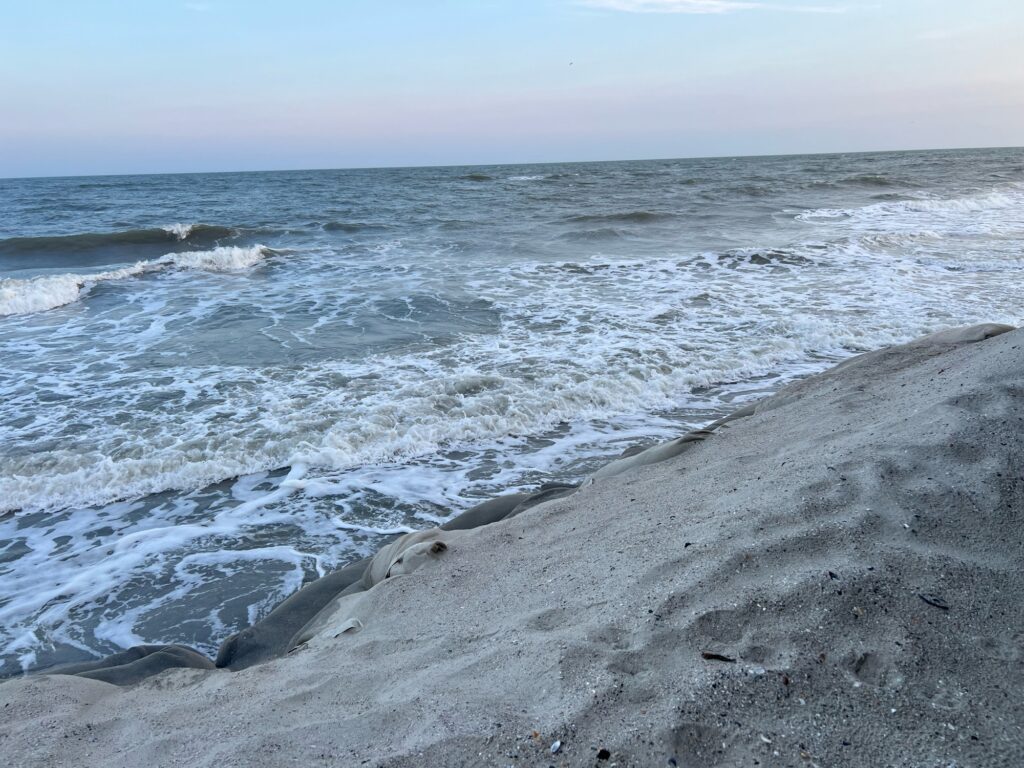 waves crashing on a beach (MyCoast AI)