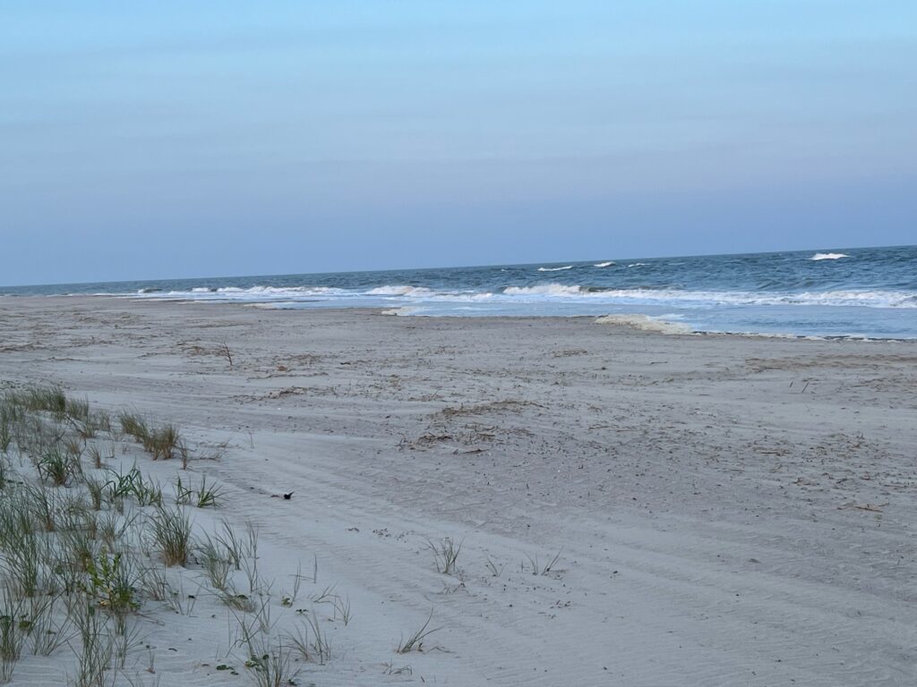a sandy beach with waves crashing (MyCoast AI)