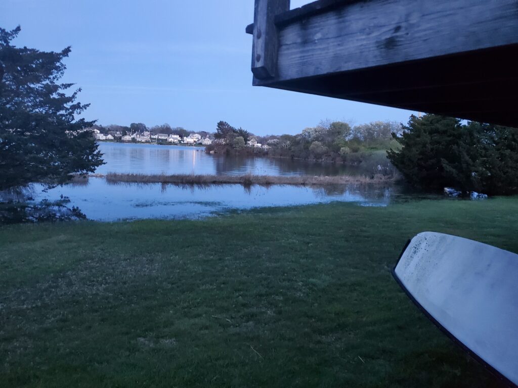 a body of water with grass and trees around it (MyCoast AI)